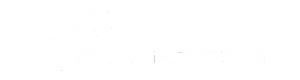 1A Wundzentrum